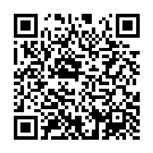 这一刻他似乎从陈诚身上看到了某位大魔王的风采二维码生成