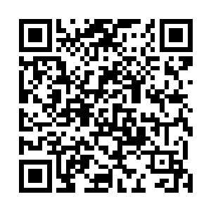 这一刻他要是再不知道是怎么回事的话那也就可以去死了二维码生成