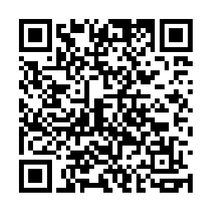 这一刻夏天打算使用出最让人看不出深浅的剑法了二维码生成
