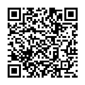 这一刻她感觉没有任何地方比这个怀抱更加的安全了二维码生成