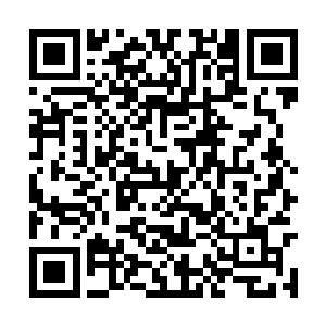 这一刻小蝶在我的面前就是一个让我可以依靠的人二维码生成