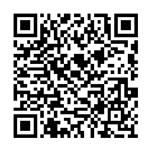 这一刻我想李特一定见过和我一样的第一代妖尸二维码生成