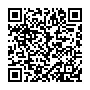 这一刻有一颗叫野心的种子在他心里生根发芽了二维码生成