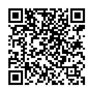 这一刻的秦岚少了一些英气却多了不少时尚美女的妩媚和女人味二维码生成