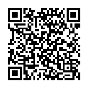 这一千万起码得等一两年才能拿到……2月11上映的话二维码生成