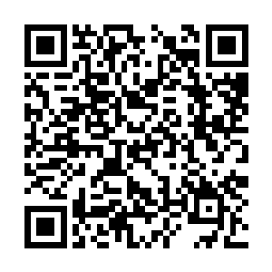 这一千筑基初期修士基本都是来自修真界四面八方二维码生成