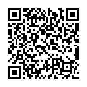 这一口鲜血之中赫然有十滴鲜血的颜色格外的赤红二维码生成