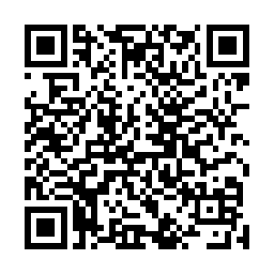 这一只寻宝鼠是天山派饲养的寻宝鼠当中数一数二的鼠王二维码生成