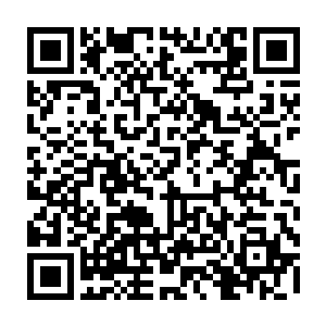 这一周的时间他们几乎都是在观察着苏凡等人的动作根本没有丝毫的动作二维码生成