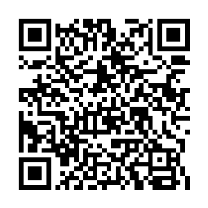 这一嗓子好像给凌菲强硬的唤回来凌菲的精气神二维码生成