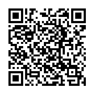 这一回华国终于聘请了相当有实力的公司执行保护任务二维码生成