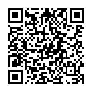 这一回秦大师的大师宴气运必将达到一个恐怖的程度二维码生成