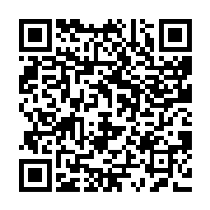 这一场决定圣灵之域局势的战争也应该可以就此决出胜负了吧二维码生成