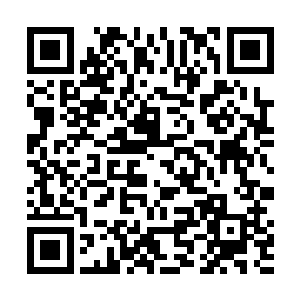 这一场战斗的结果现在就是取决于两位七品传奇宗师了二维码生成