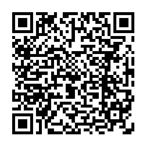 这一块天忍令牌的背后还有点特殊的地方……立即让他顿住了手上的这个动作了二维码生成