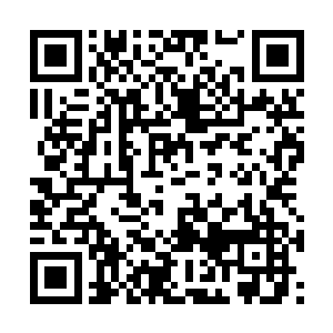 这一声凄厉的喊叫也叫醒了正在自怨自艾的池佳一二维码生成