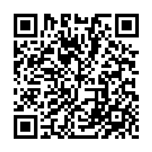 这一声喝蕴藏着五属性灵根天尊初期巅峰的威能二维码生成