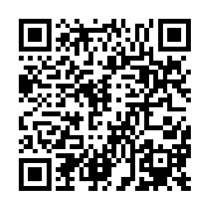 这一声四叔四婶叫的白建民和刘玉梅有些不知所措二维码生成