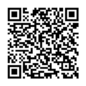 这一声问是凤羽珩玄天冥以及一众下人齐声的问二维码生成