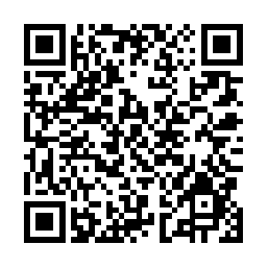 这一处神秘世界既然被无数盘古族都当成是逃生的目的地二维码生成