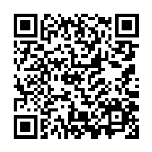 这一处聚集点的墨族大军已经不可能再增加太多兵力二维码生成