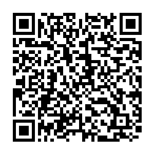 这一夜整个江海市特别行动处所有一等组员全都知道了一个叫做林冰冰的人二维码生成