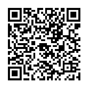 这一大段讲的是图书管理员伊芙琳在图书馆的藏品馆中二维码生成