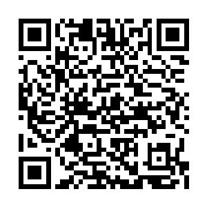 这一天刚好那魏崇和周凉已经清点好了此趟收获二维码生成