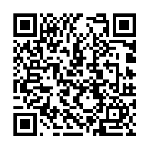 这一天在小男孩奇奇的心里永远也都无法忘记……二维码生成