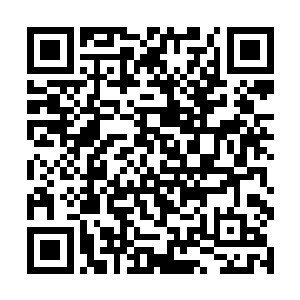 这一定是他们用了我不知道的术法强行唤醒了老家伙二维码生成