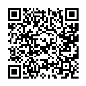 这一对显然就是洪爷手下的超级打手比利和绮梦了二维码生成