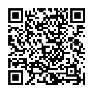 这一届会议上足有超过二十家新的外围势力来参加二维码生成