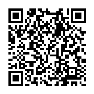这一届学子考核的海选排位比赛也终于尘埃落定二维码生成