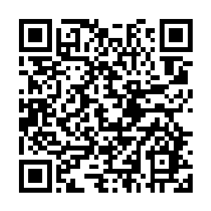 这一届弟子考核想要出现他们这样的弟子有些难度二维码生成