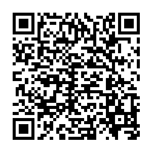 这一届的雏凤榜一定要让族内最强最有天赋和实力的后代报名参加二维码生成