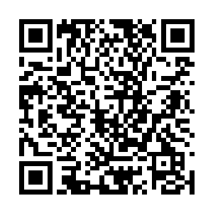 这一届lpl的八支虎狼之师其实已经来到我们身边了二维码生成