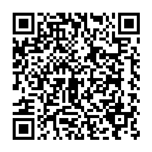 这一帧帧零散而破碎的画面让惊悚悬疑的气氛刹那间就布满了电影院二维码生成