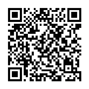 这一席长裙的风格和她平日在外面穿的比起来暴露了很多二维码生成