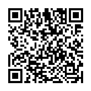 这一帮子穿着各种华贵服装带着各色古怪帽子的妇人二维码生成