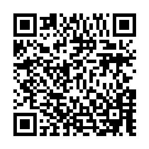 这一幕 看在对岸的人眼中 却是瞬间又惊掉了一地的眼珠二维码生成