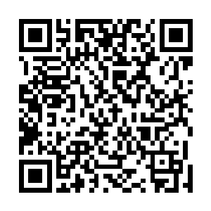 这一幕同样也落入了对面房间张希和露露两位女生的眼中二维码生成