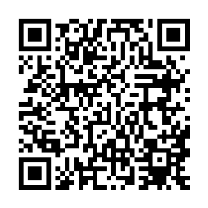 这一幕真是让我想起了球队在训练中经常会做的那种练习……哈二维码生成