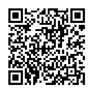 这一幕让着苍陨剑印内部的白发少年猛然睁开双眼二维码生成