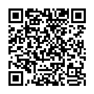 这一式神通等我达到域主级别就可以运用自如了二维码生成