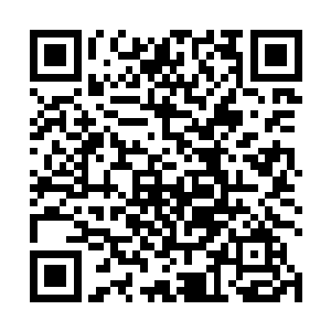 这一战最严重的伤势当属被那神羽福地的武者偷袭之伤二维码生成