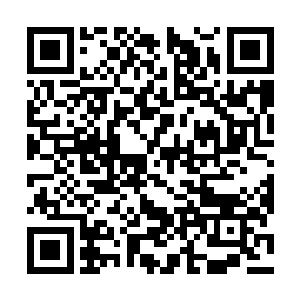 这一把影子还没有来得及到6去抓一波陈诚的豹女二维码生成