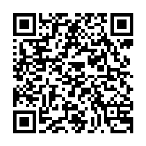 这一把ic买眼最多的俩个位置便是中单的姿态和打野的影子了二维码生成