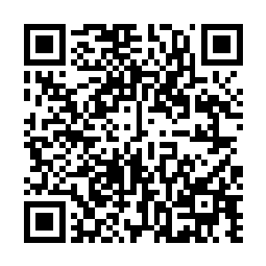 这一招施展出来要远比陈若风蓄势时爆发出来的更为恐怖二维码生成