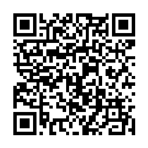 这一拨金枪鱼个头在贝海看来那真的是惨不忍睹啊二维码生成