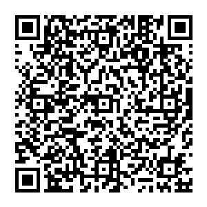 这一拳呼啸带风 眼看着就要砸到赵纯良 却沒成想 这时候 突然从赵纯良的侧面飞出來一个拳头二维码生成